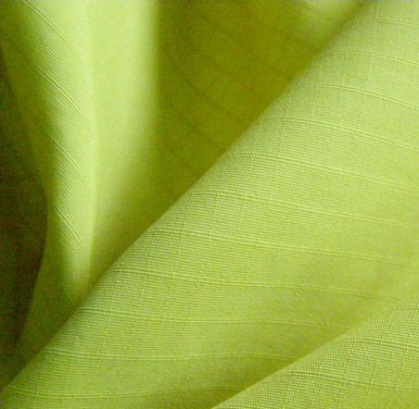 消光塔丝隆双线格